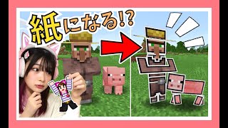 モブがペラペラになったマイクラが面白すぎるｗ【マインクラフト】【Minecraft】【女性ゲーム実況者】【TAMAchan】