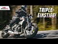 Kann sie immer noch überzeugen? Test Triumph Trident 660 und Naked Bike Vergleich 2023