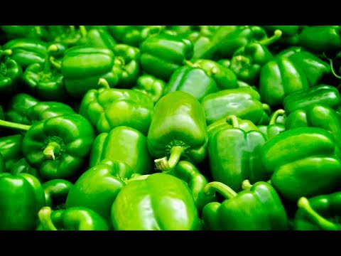 How healthy is green capsicum?