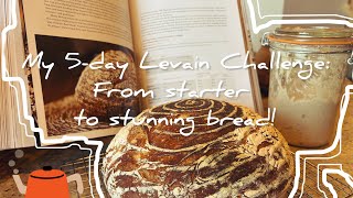 My 5-day Levain Challenge: From Starter to Stunning Bread!