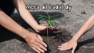 Mera Dill Badal De Naat|Lyrics Naat #national and international
