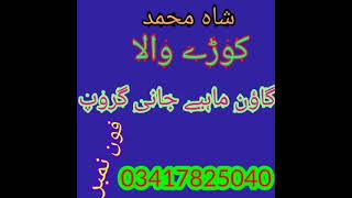 Shah Muhammad shaho goon mahiya jani group moazzamabad 03417825040