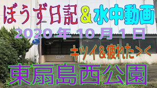 水中動画＆ぼうず日記 in 東扇島西公園（2020年10月1日）