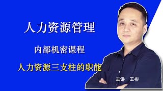 【07】人力资源三支柱的职能｜翟山鹰BOC人力资源管理｜王彬