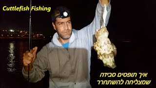 דיג-ליאור גכמן איך תופסים סבידה שמצליחה להשתחרר🦑(שיעור טוב למתחילים) 27.11.18 Cuttlefish Fishing