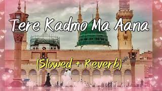 Tere Kadmo Mein Aana Mera Kaam Tha || Hafiz Tahir Qadri || Slowed and Reverb || Beautiful naat