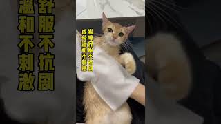 猫咪一洗澡就害怕，免洗手套帮你搞定，便宜又好用，夏天宠物清洁必备