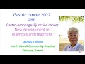 Gastric cancer 2022