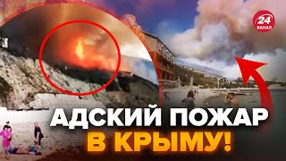 ⚡️СРОЧНАЯ эвакуация из Крыма! Пожар в Коктебеле УНИЧТОЖИЛ санатории! Люди бегут в УЖАСЕ