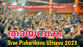 Sree Pisharikavu Ultsavu 2023 തായമ്പക |ശ്രീ പിഷാരികാവ് കാളിയാട്ട ഉത്സവം |വലിയ വിളക്ക് @binishz vlog