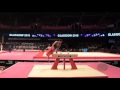 ELMARAGHY Ahmed Ashraf (EGY) - 2015 Artistic Worlds - Qualifications Pommel Horse