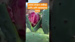 যেসব কারণে নারীরা বেশি বেশি জাহান্নামে যাবে #fruit #moreviews #unfrezzmyaccount #trending