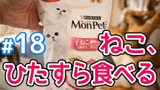 【キャットフード】モンプチ 子ねこ５種のブレンド