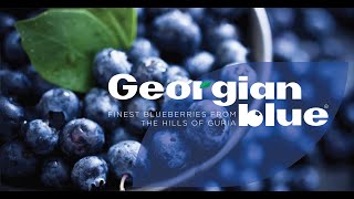 GeorgianBlue Blueberry Farms in Laituri, Guria, Georgia 2020