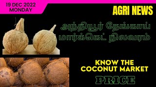 #அந்தியூர் தேங்காய் விலை | Anthiyur Coconut Market