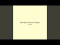 Moonlight Serene Whisper