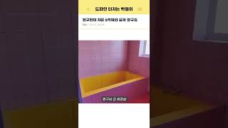 중국인이 지었다는 6억짜리 실제 짱구집