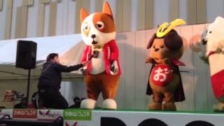 コギらったステージ Dog!フェスタ キラメッセ沼津2015.4.19