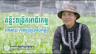 គន្លឹះពង្រីកអាជីវកម្ម