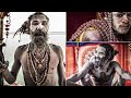 అఘోరీల గురించి మీకు తెలియని నిజాలు aghori life style and rituals telugu facts asura media