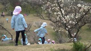 201703 坂本 義雄 作 「石ヶ谷公園 春の訪れ」