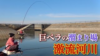 厳寒期に大型のヘラブナが居着くポイントを長尺ドボン釣りで攻略する【作田川】