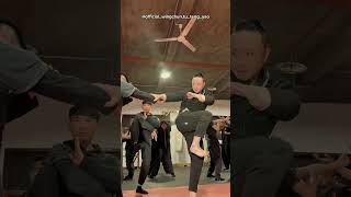 Boost Your Wing Chun Skills: Mastering the Side Kick & Xunqiao Techniques! - Master Tu Tengyao