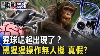 「猩球崛起」出現了？！黑猩猩「操作無人機」影片瘋傳 真假？！【關鍵時刻】20200625-3 劉寶傑 賴憲政