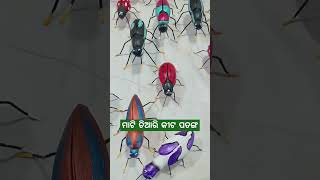 ମାଟିରେ ତିଆରି ପୋକ ଯୋକ || କୀଟ ପତଙ୍ଗ #StateLevelTerakottaExhibition #insects #cuttack #odisha #shorts