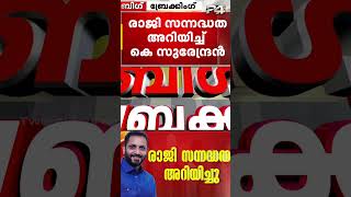 പാലക്കാട് ഉപതെരഞ്ഞെടുപ്പ് പരാജയത്തിന് പിന്നാലെ കെ സുരേന്ദ്രൻ രാജി സന്നദ്ധത അറിയിച്ചു