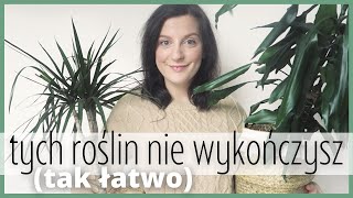 TOP 5 ROSLIN, KTORYCH NIE WYKONCZYSZ TAK LATWO CZ  II