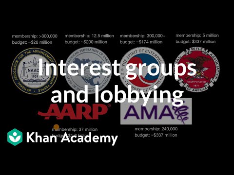 Why are so many of America’s lobbying groups organized around economic interests?