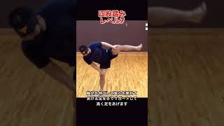 四股踏みレベル1〜9ダイジェスト