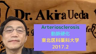 Arteriosclerosis動脈硬化　東北医科薬科大学2017 2