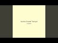 Aurora Crystal Tranquil