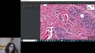 Viewing images with QuPath