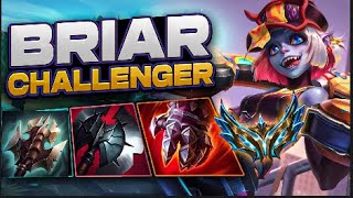 NEW Briar Jungle ITEMS Bruiser BRIAR CARRY | Indepth Guide