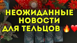 🌟3 главных события ДЕКАБРЯ для ТЕЛЬЦА. ТАРО-расклад на месяц. Гороскоп на 2024.