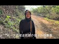 中国女婿看老挝丈母娘干农活太辛苦，直接请20个工人帮他们干！在农田野餐真不错！ 老挝美女mee