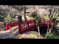 熱海梅園🌸満開🌸撮影日2025.2.19