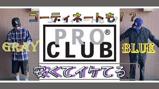 このtシャツ以外もう着れなくなる？PROCLUBロングスリーブtシャツ