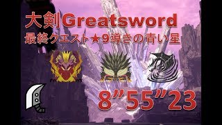 【MHW】大剣 ★9 最終クエスト 導きの青い星 8‘55“23