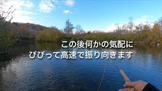 北海道尻別川の釣り　釣れませんからね！だからフライフィッシングなのにメインチャンネル　第178話