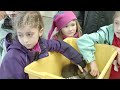 fox cubs visit the sussex wildlife trust