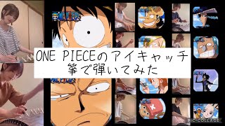 【ONE PIECE】麦わらの一味10人のアイキャッチを箏で弾いてみた