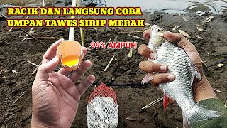 RACIKAN UMPAN IKAN TAWES SIRIP MERAH‼️SUPER JITU