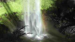 [4K] ニュージーランド ・滝・水の虹・ブライダルベールフォールズ・Bridal Veil Falls ・ New Zealand・Waterfall・Water rainbow