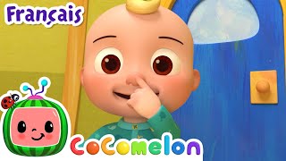 Tête épaules genoux pieds | CoComelon en Français | Chansons pour bébés