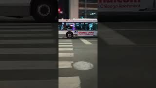 N59 Pulaski CTA bus 6/8/2024