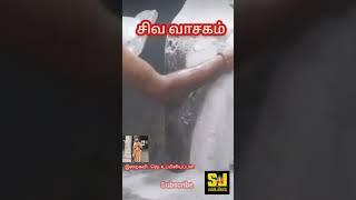 சிவ வாசகம். விபூதி அபிஷேகம்